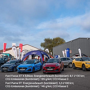 Ford bei Eder Kirchweih-Ausstellung