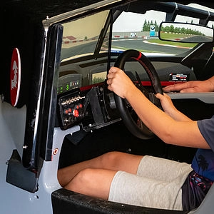 Ferrari Auto Simulator 