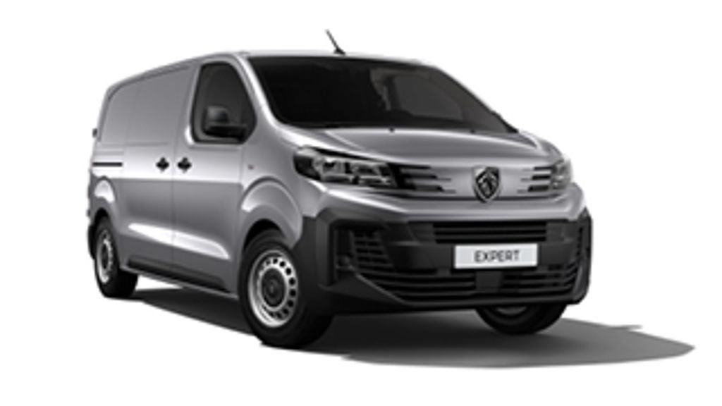 Peugeot Expert Kastenwagen