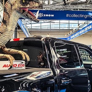 Raptor auf Ford F-150