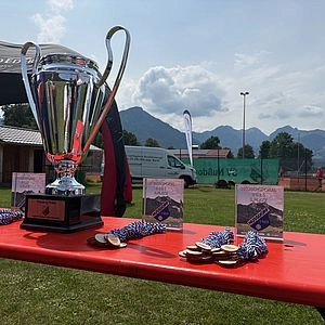Pokal und Medaille auf dem Tisch.