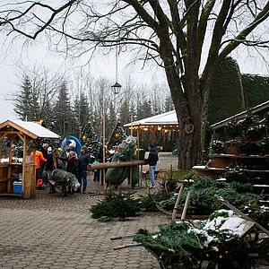 Christbaumhof Rauchenberg 