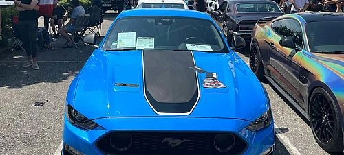 V8 Treffen im Aicherpark Rosenheim